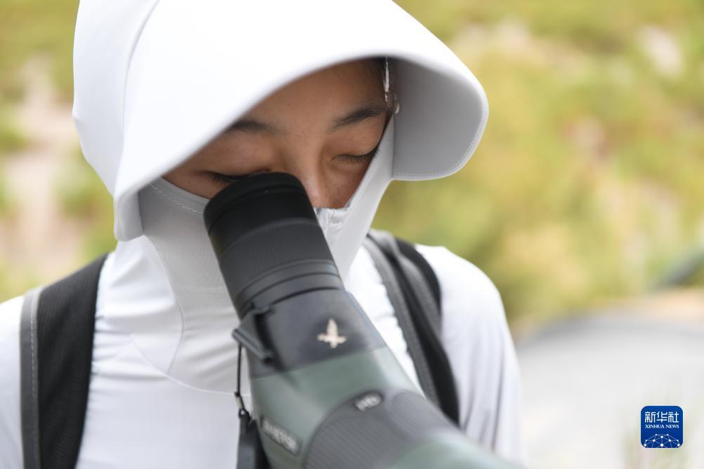 澳门威尼斯软件